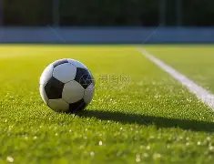 日第二套人,民币完整版,价格一览,爱体育平台,爱体育官方网站,爱体育登录入口,爱体育app下载