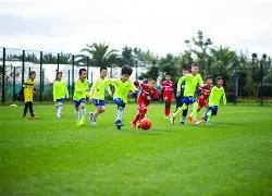 秘籍揭晓,年大乐透,期独门三胆,爱体育平台,爱体育官方网站,爱体育登录入口,爱体育app下载