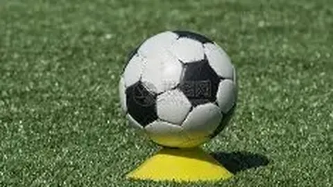 匈牙利知名泳星新冠病毒检测呈阳性