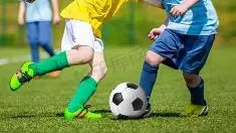 爱体育 资讯 123110 tpj