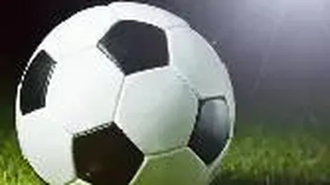 刘嘉玲婚宴风采夺目，惊艳全场成焦点