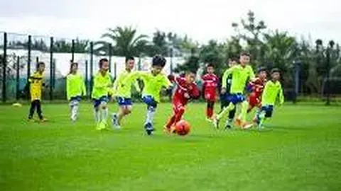 【秘籍揭晓】2025年大乐透146期独门三胆策略，揭秘前区号码奥秘！